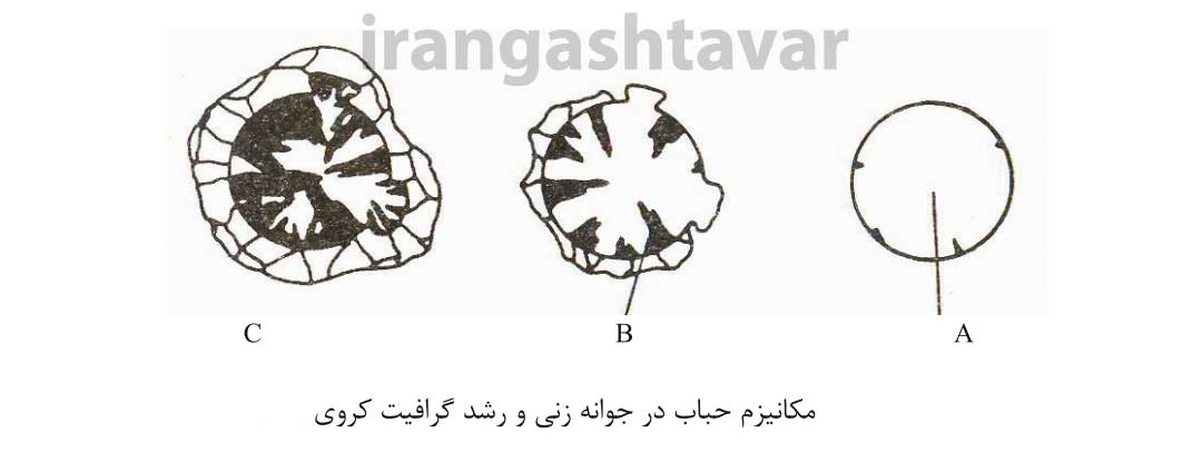 مکانیزم حباب در جوانه زنی و رشد گرافیت کروی