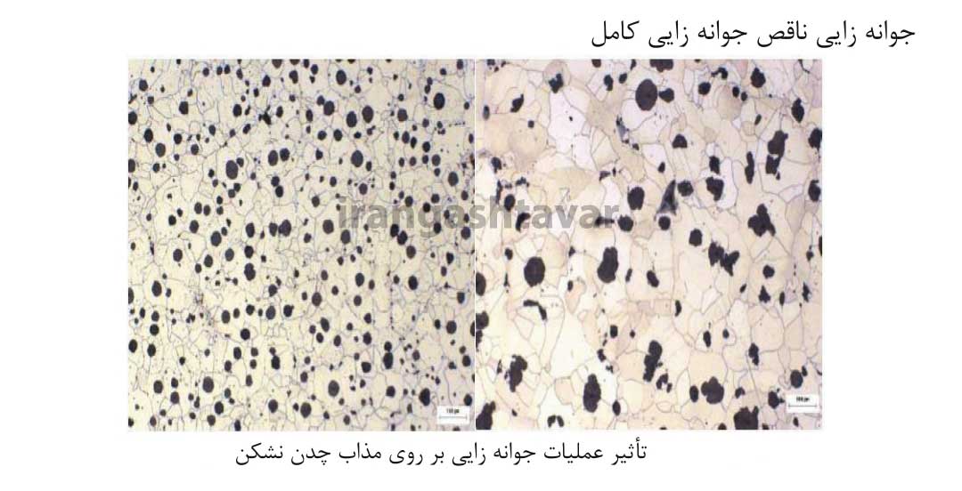 تاثیر عملیات جوانه زایی بر روی مذاب چدن داکتیل (نشکن)
