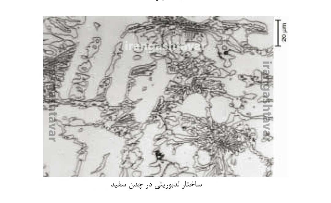 ساختار لدبوریتی در چدن سفید